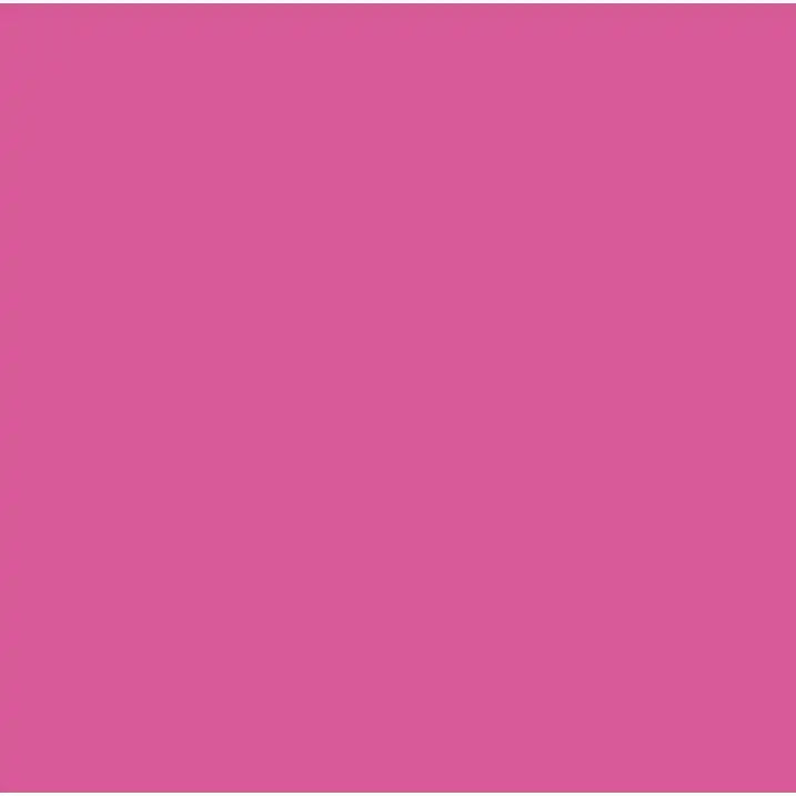 (2 pack) Cricut® Infusible Ink Sheets Solid (2), Party Pink, 12" x 12"