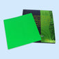 TUTTLE Positive Energy Table Tennis Rubber Pink Blue Green Purple Rubber ITTF Table Tennis Rubber Pingpong